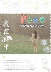 我在雨中等待封面